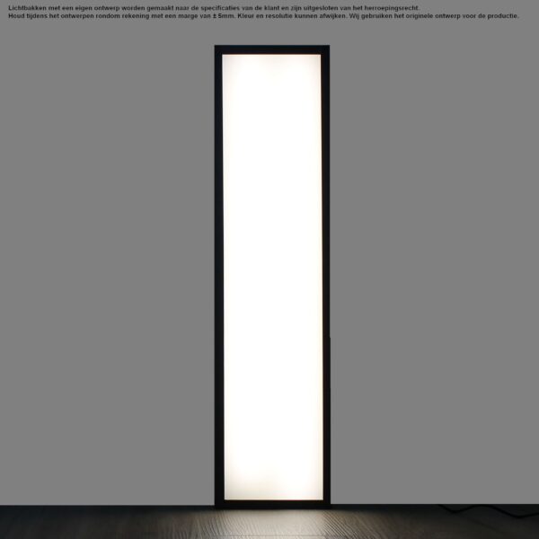 Lichtbak 15x60 cm met eigen ontwerp