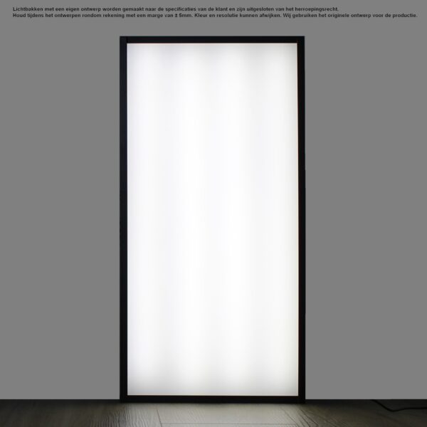 Lichtbak 30x60 cm met eigen ontwerp